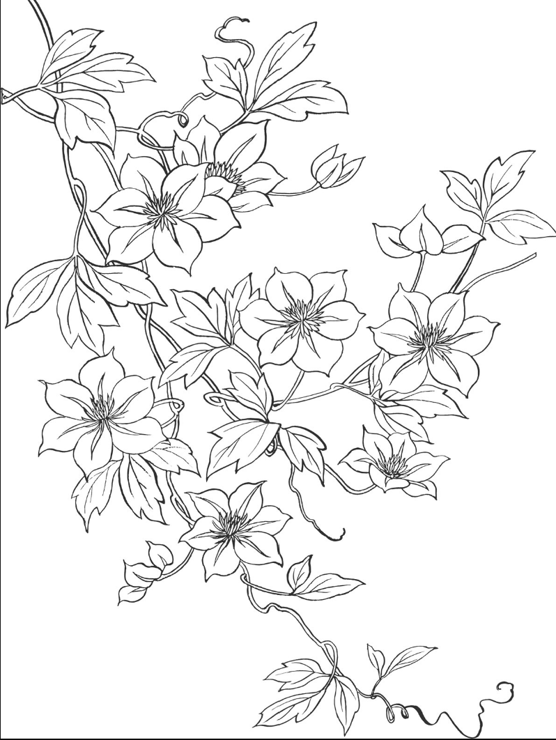 田口様レッスン代（11/21)